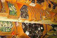 ntx0146.jpg