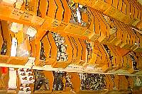 ntx0147.jpg