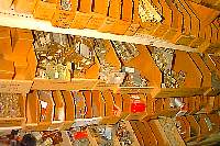 ntx0207.jpg